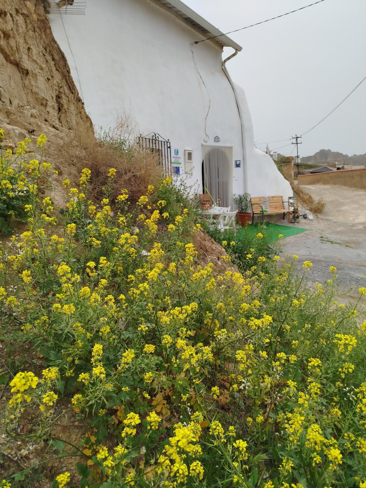 Vila Cueva La Loli Guadix Exteriér fotografie