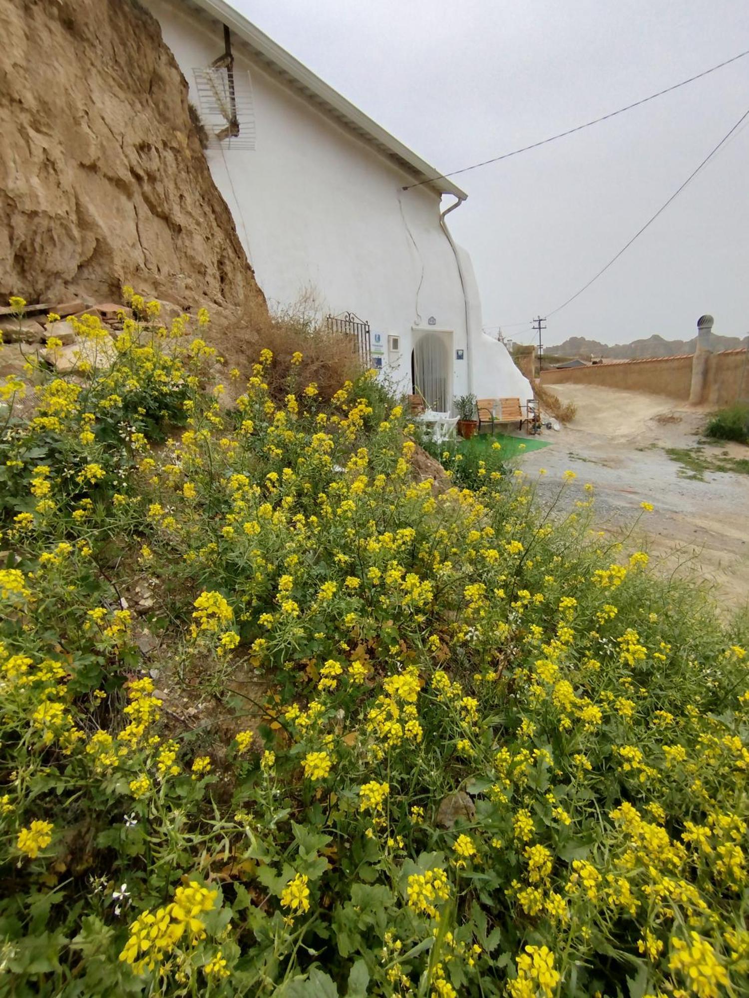 Vila Cueva La Loli Guadix Exteriér fotografie